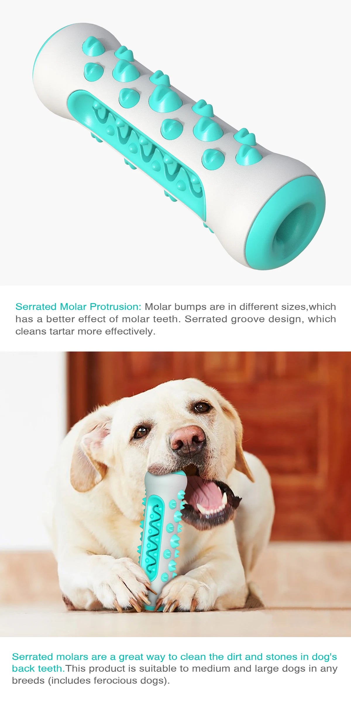 CanineClean Chewmate: Brinquedo Molar para Higiene Dental